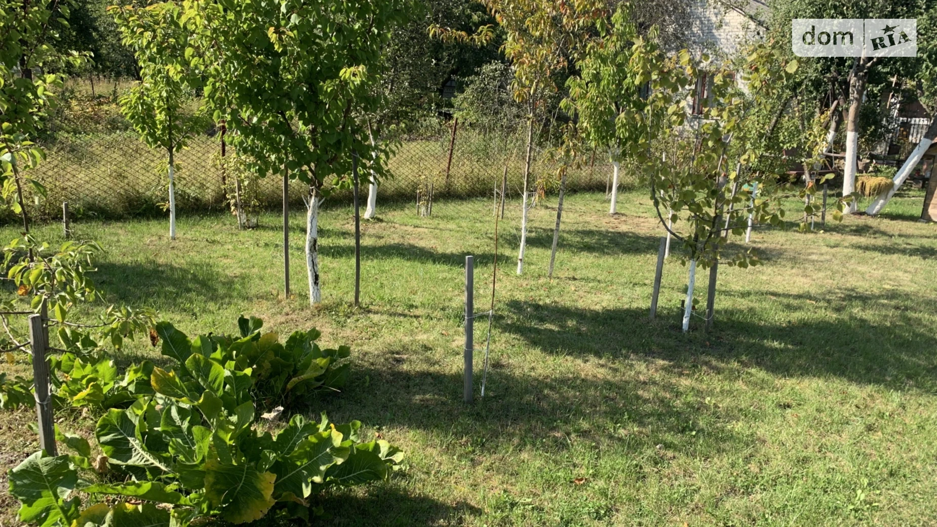 мас. Золотая осень Буцнев, цена: 28000 $ - фото 5