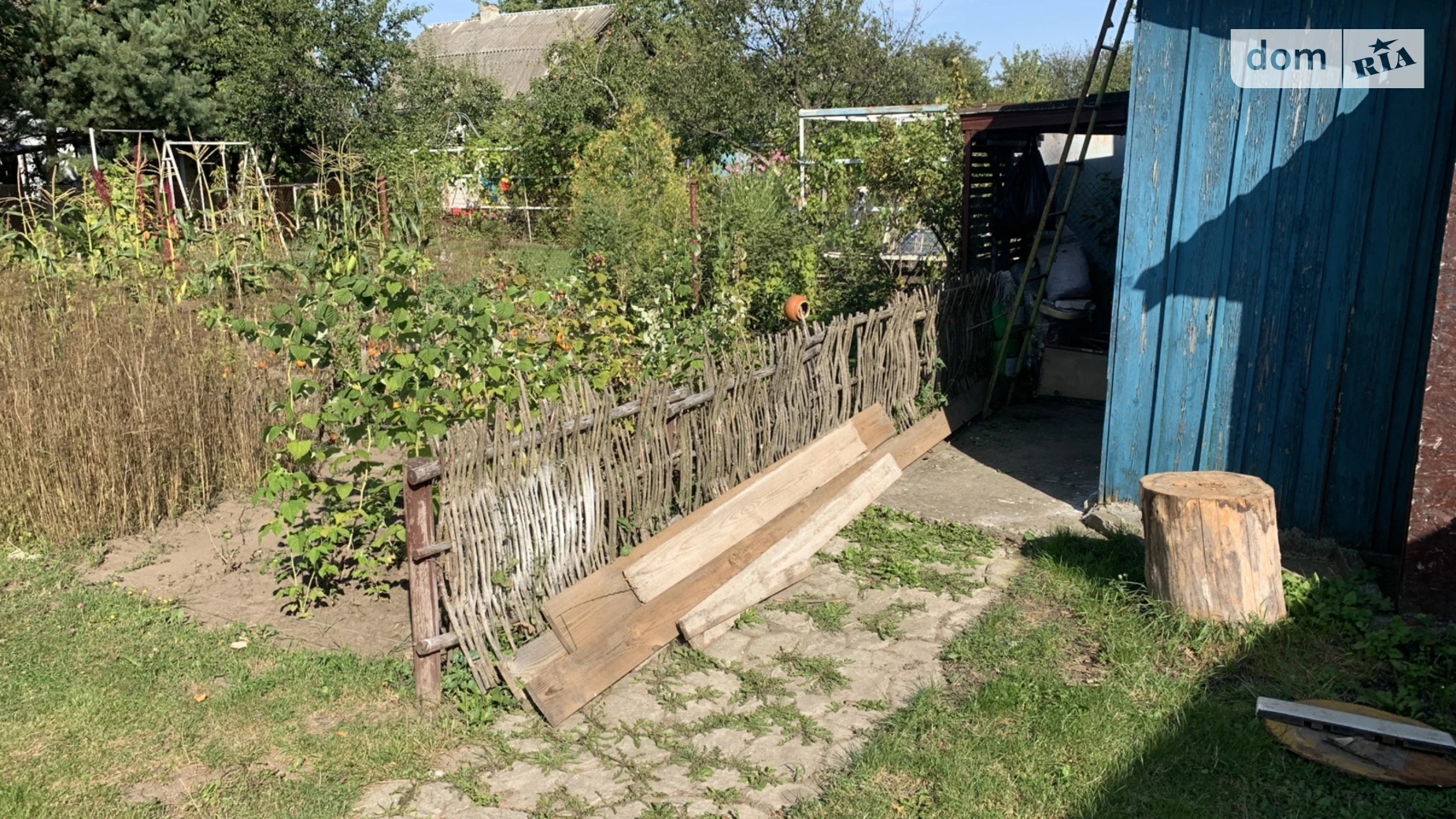 мас. Золотая осень Буцнев, цена: 28000 $ - фото 4