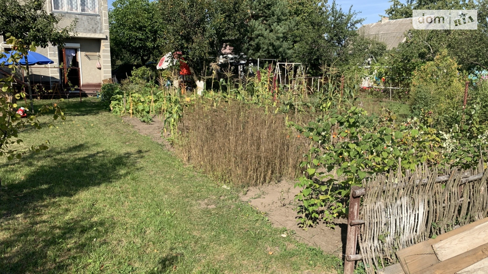 мас. Золотая осень Буцнев, цена: 28000 $ - фото 3