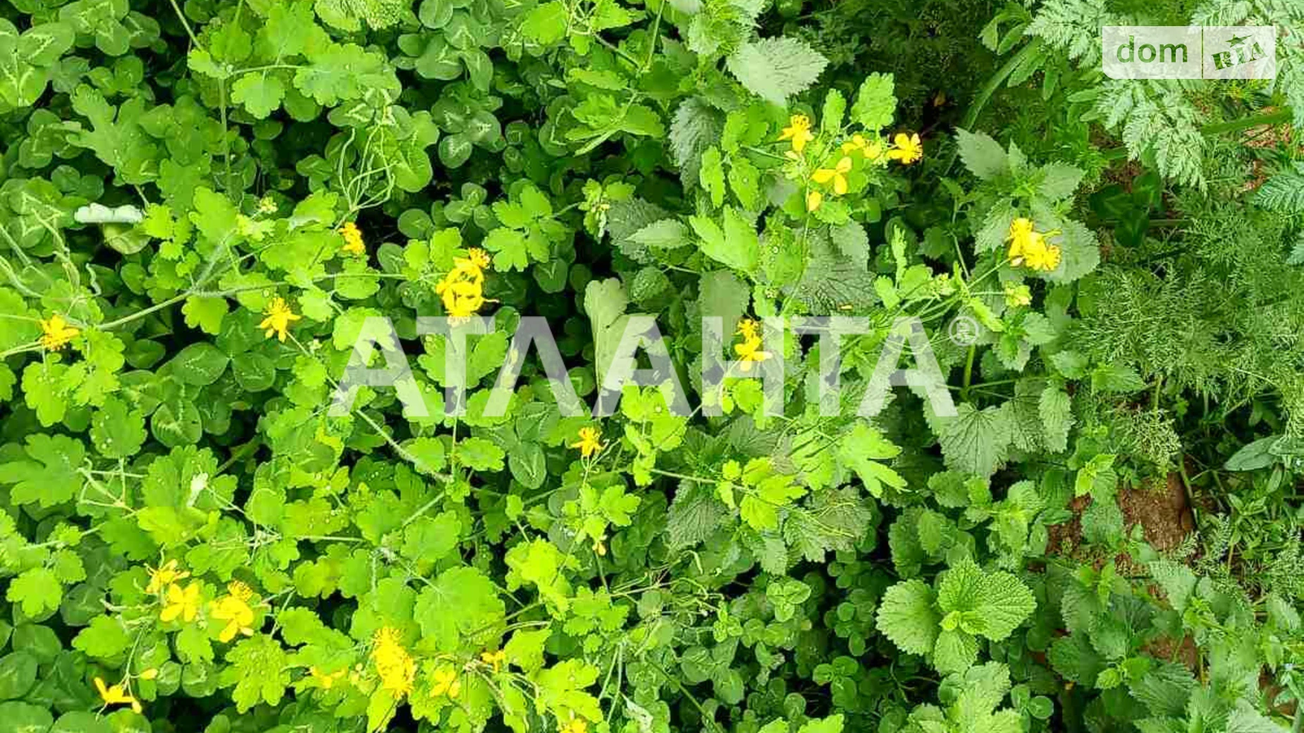 Продается земельный участок 9 соток в Одесской области, цена: 140000 $ - фото 5