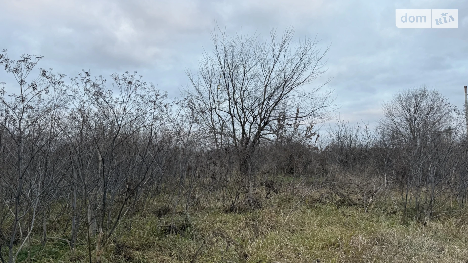Продается земельный участок 12 соток в Винницкой области, цена: 20000 $ - фото 5