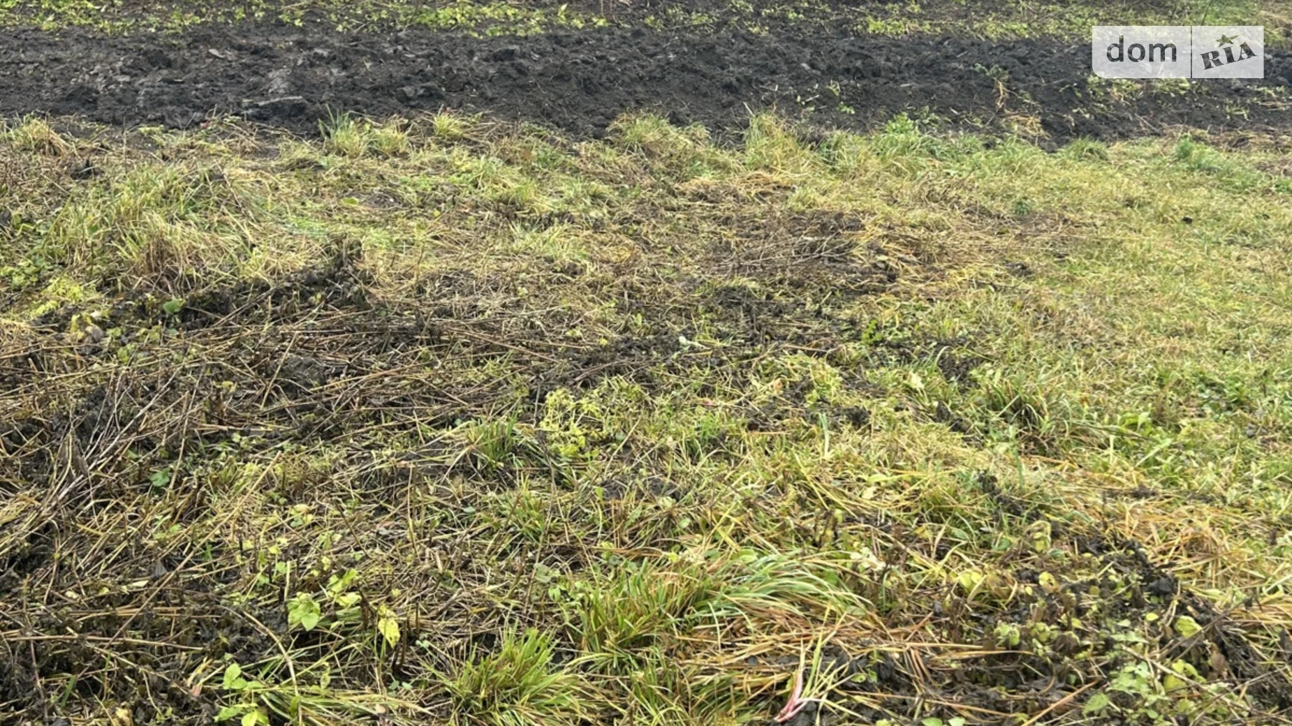 Продается земельный участок 12 соток в Хмельницкой области, цена: 70000 грн - фото 2