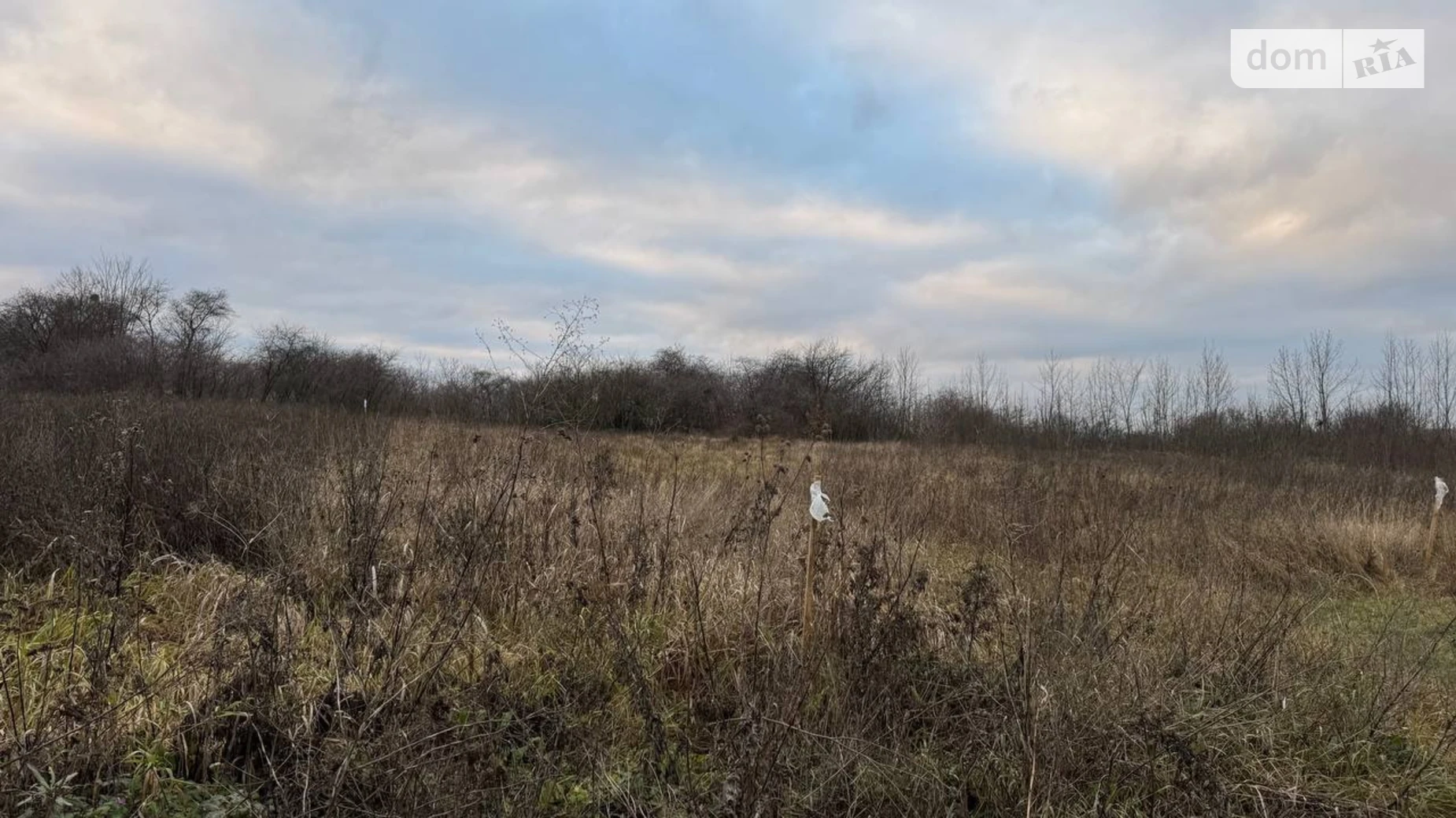 Продается земельный участок 11 соток в Винницкой области, цена: 6500 $ - фото 4