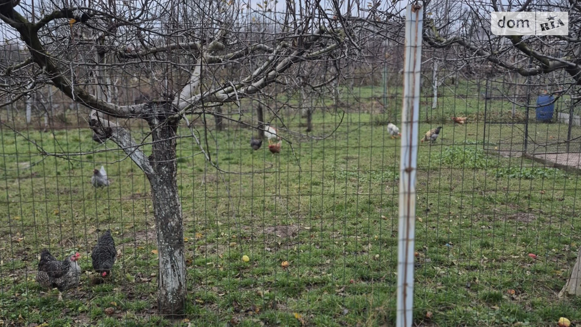 Продается земельный участок 9 соток в Винницкой области, цена: 14000 $ - фото 2