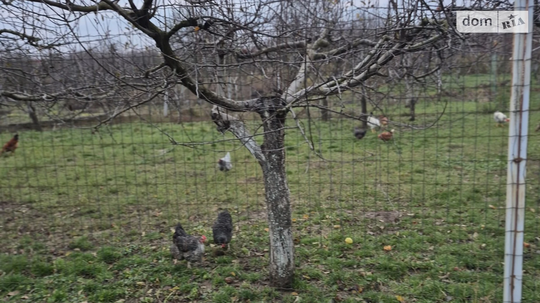 Продается земельный участок 9 соток в Винницкой области, цена: 14000 $ - фото 3