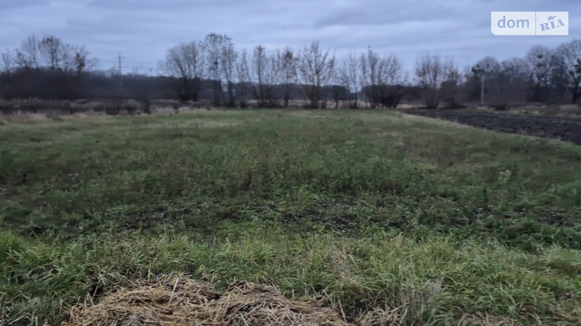 Продается земельный участок 60 соток в Винницкой области, цена: 35000 $ - фото 2
