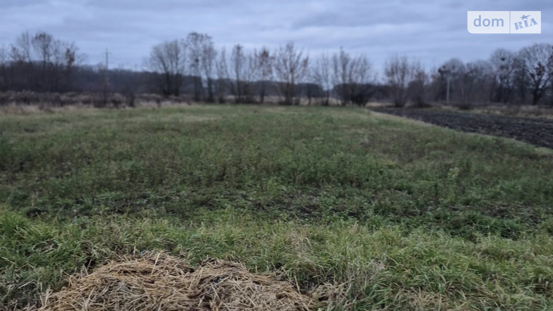 Продается земельный участок 60 соток в Винницкой области, цена: 35000 $ - фото 3