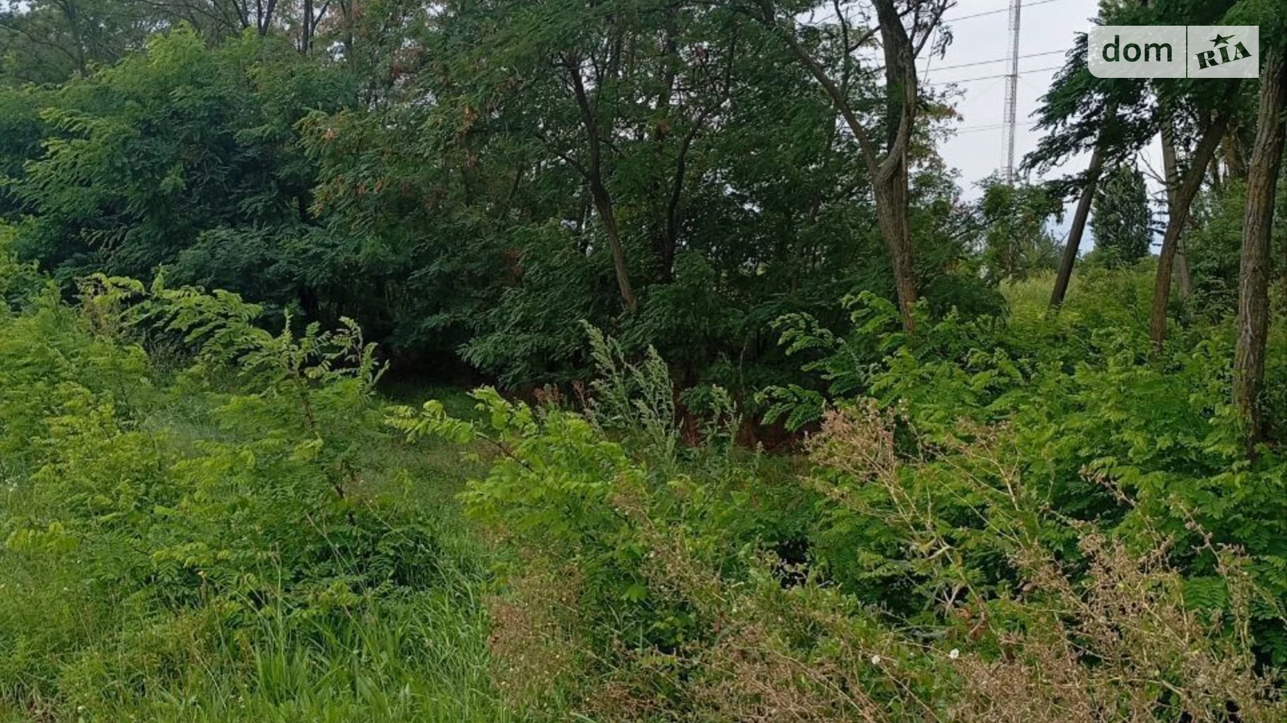 Сдается в аренду земельный участок 0.5708 соток в Киевской области, цена: 36791 грн - фото 2