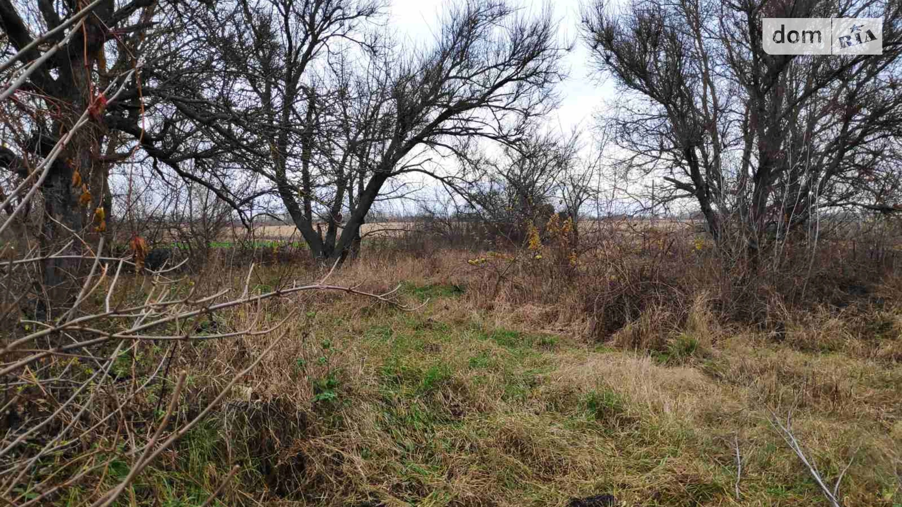 Продается земельный участок 60 соток в Винницкой области, цена: 5000 $ - фото 2