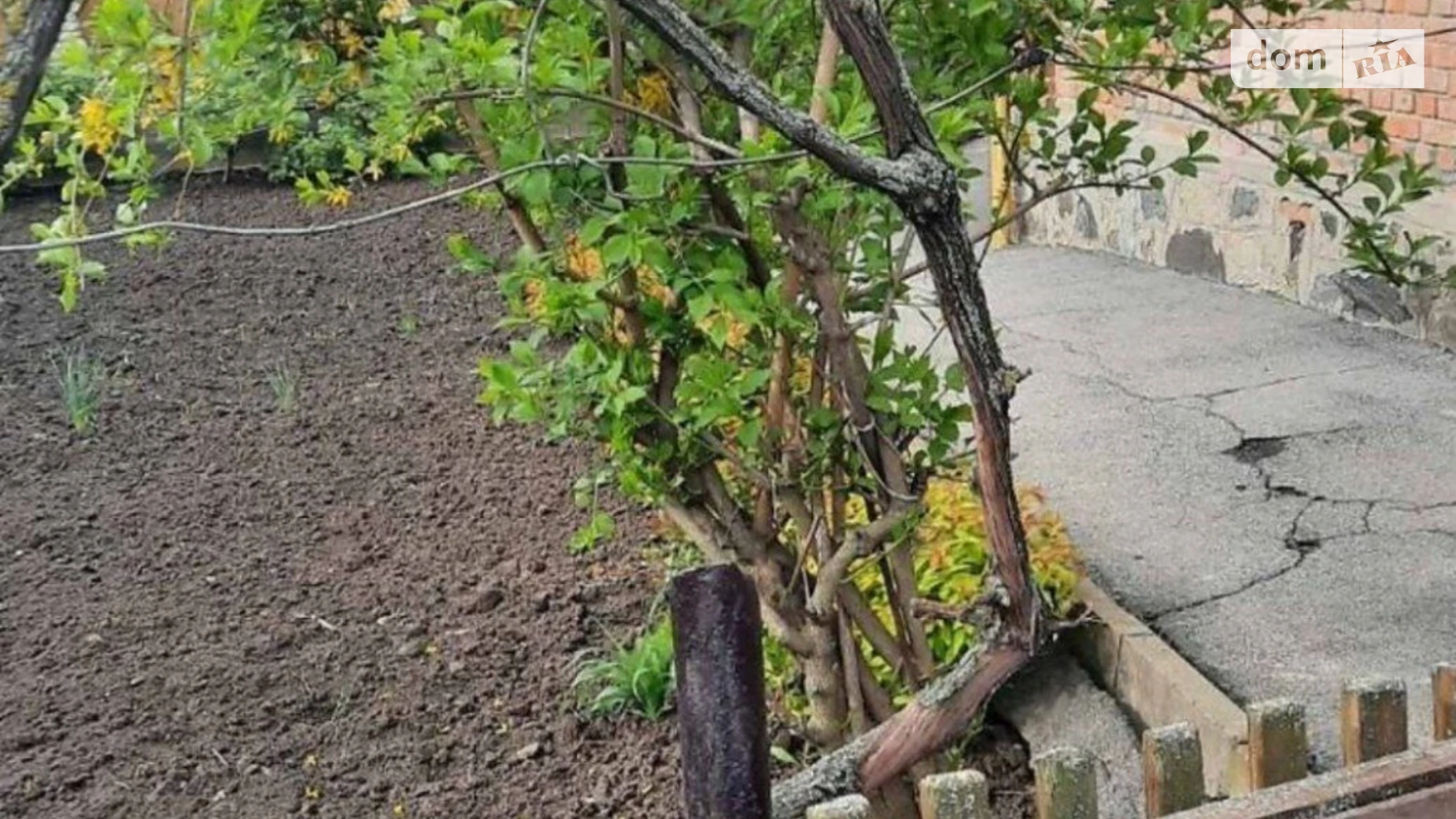 Сдается в аренду одноэтажный дом 55 кв. м с беседкой, цена: 9000 грн - фото 3