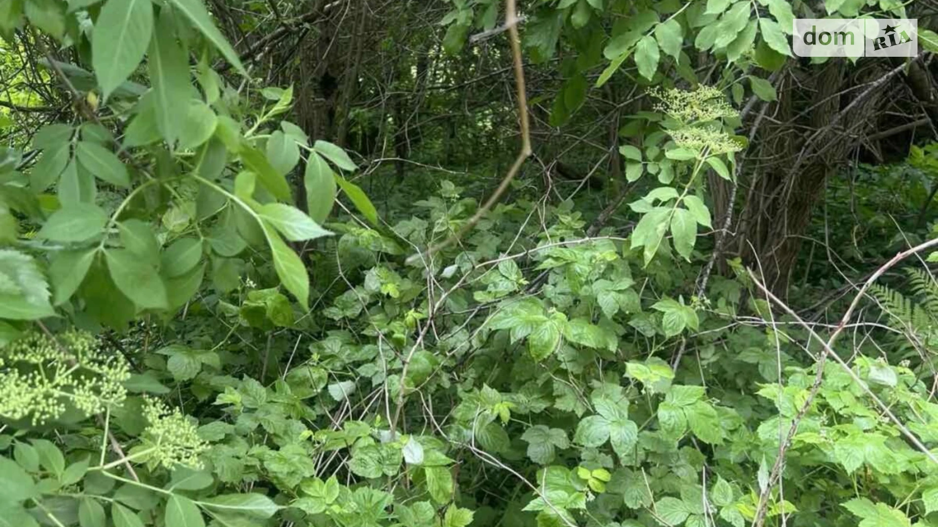 Продается земельный участок 10 соток в Львовской области, цена: 120000 $ - фото 3