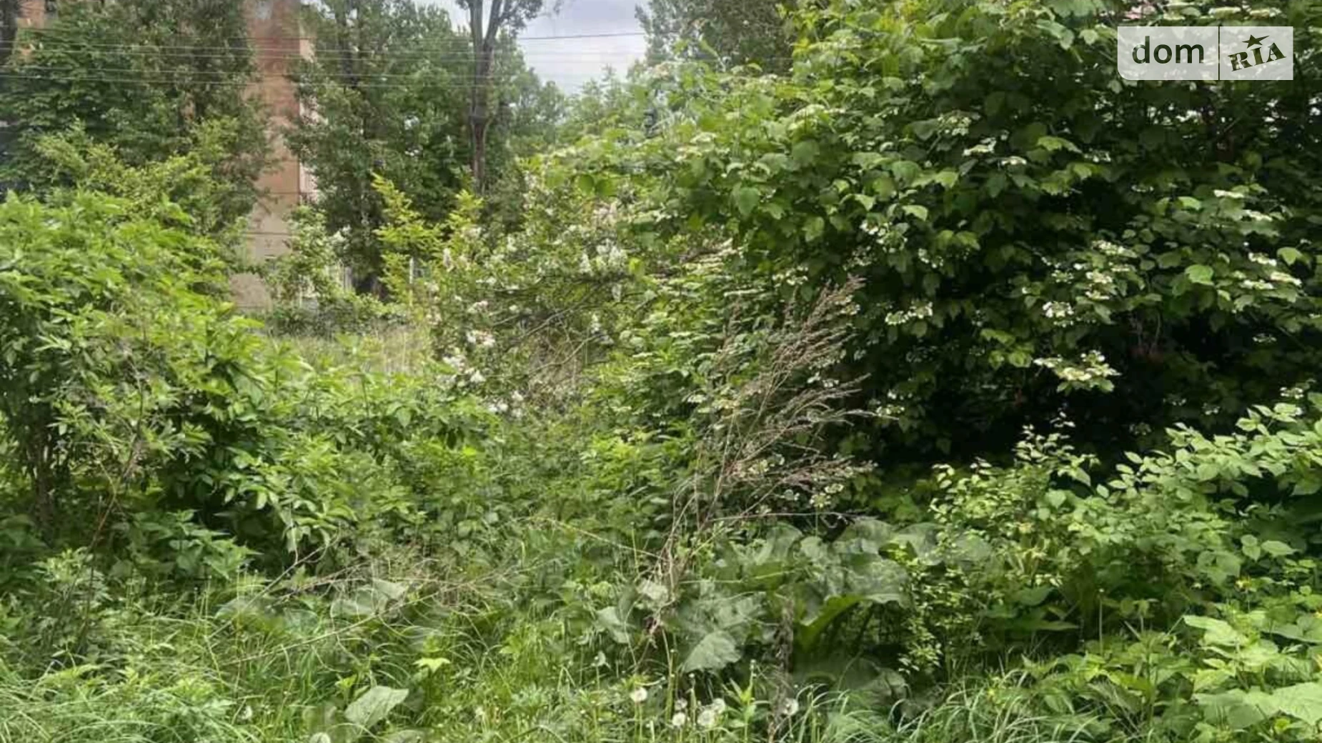 Продается земельный участок 10 соток в Львовской области, цена: 120000 $ - фото 4