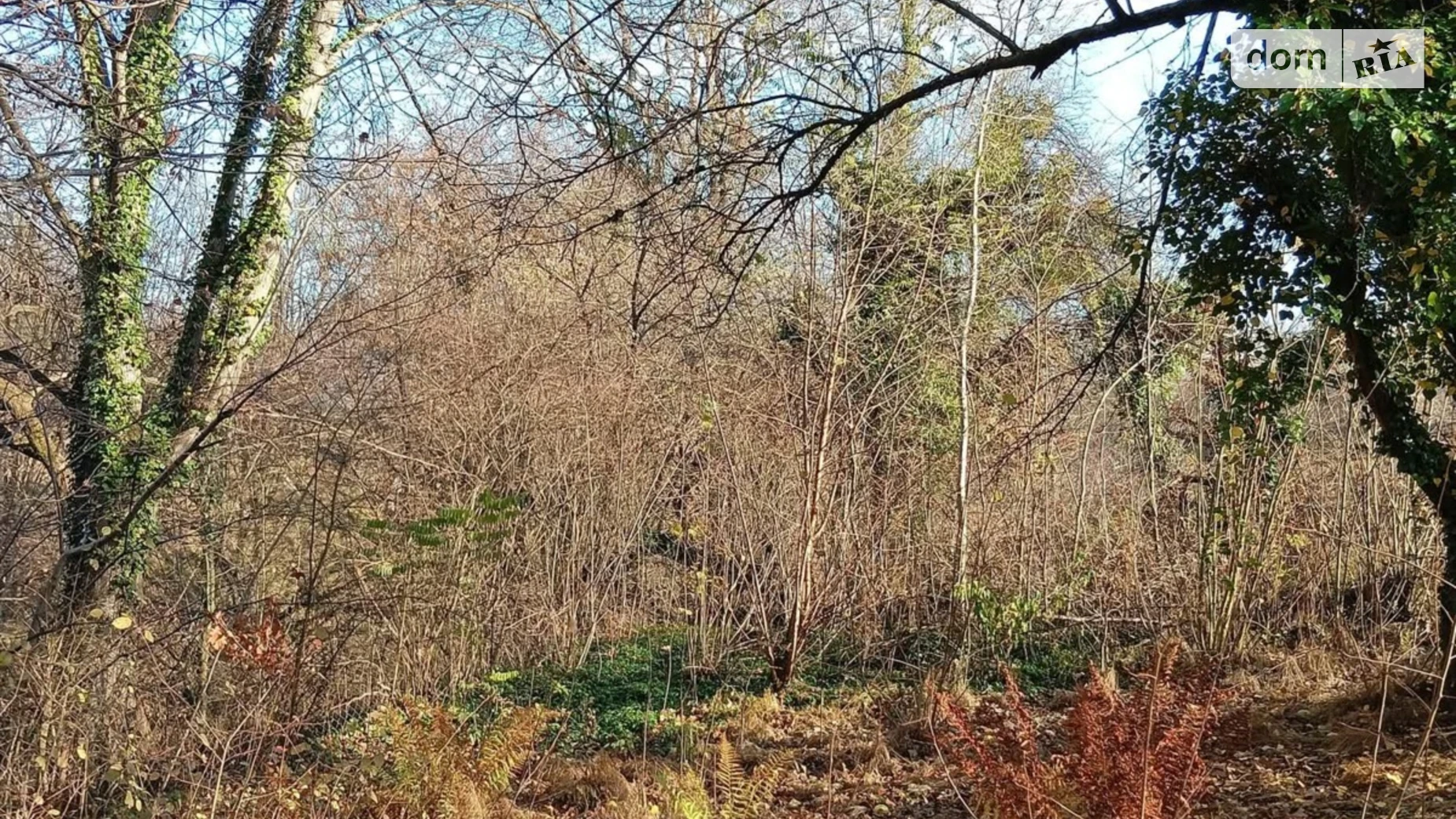 Продается земельный участок 10.5 соток в Львовской области, цена: 44500 $ - фото 2