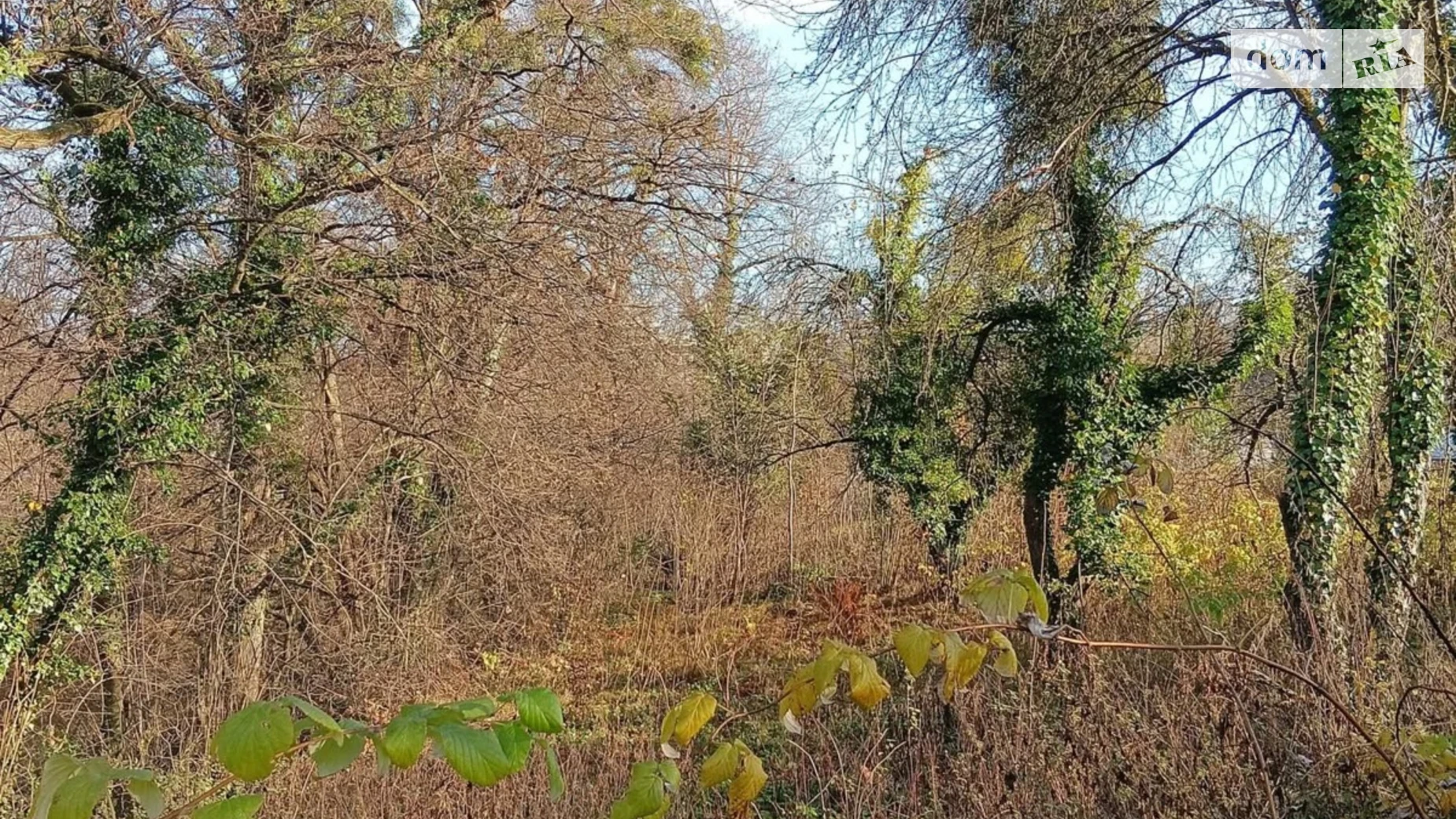 Продается земельный участок 10.5 соток в Львовской области, цена: 44500 $ - фото 5
