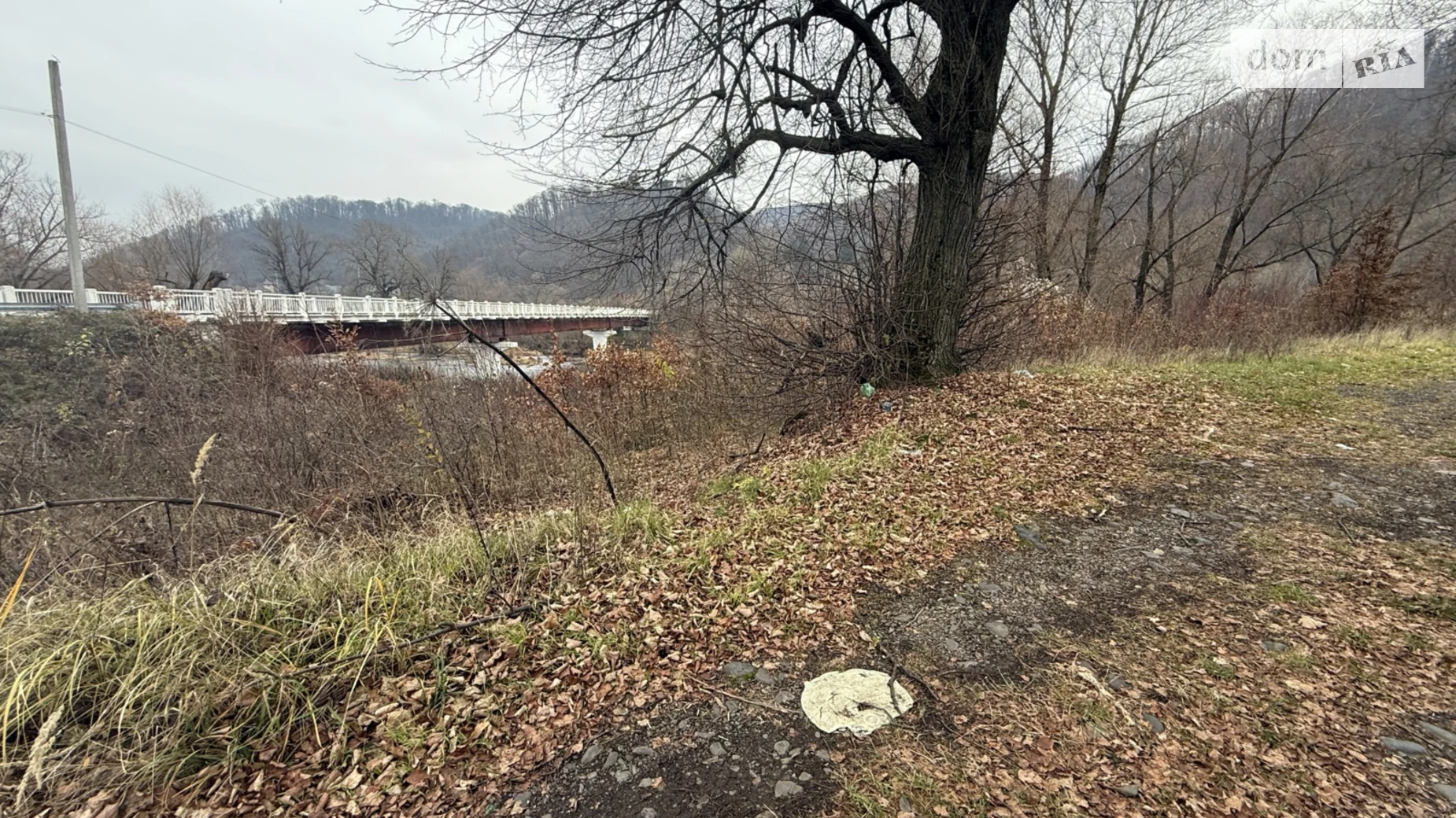 Продается земельный участок 30 соток в Закарпатской области, цена: 67000 $ - фото 3