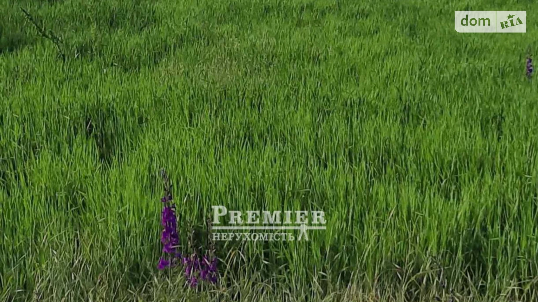 Продается земельный участок 6.02 соток в Одесской области, цена: 4000 $ - фото 4