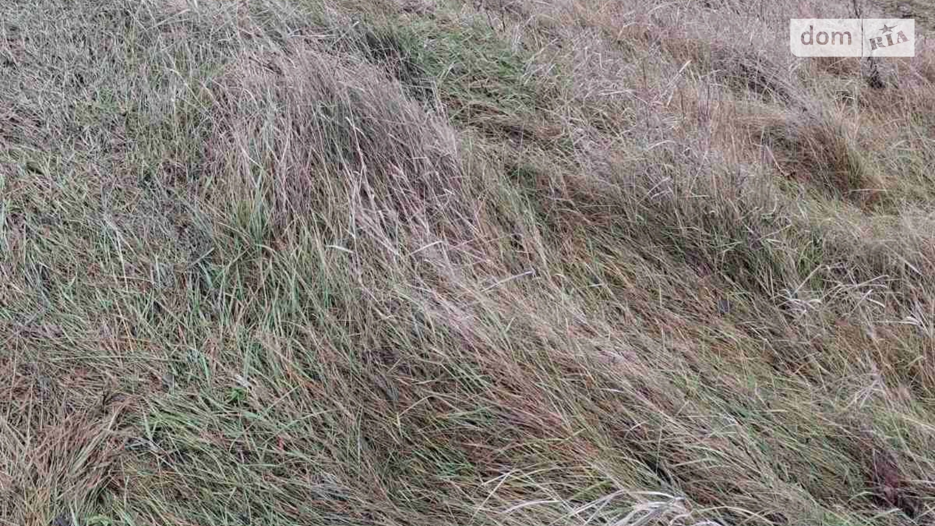 Сдается в аренду земельный участок 0.3 соток в Хмельницкой области, цена: 424 грн - фото 3