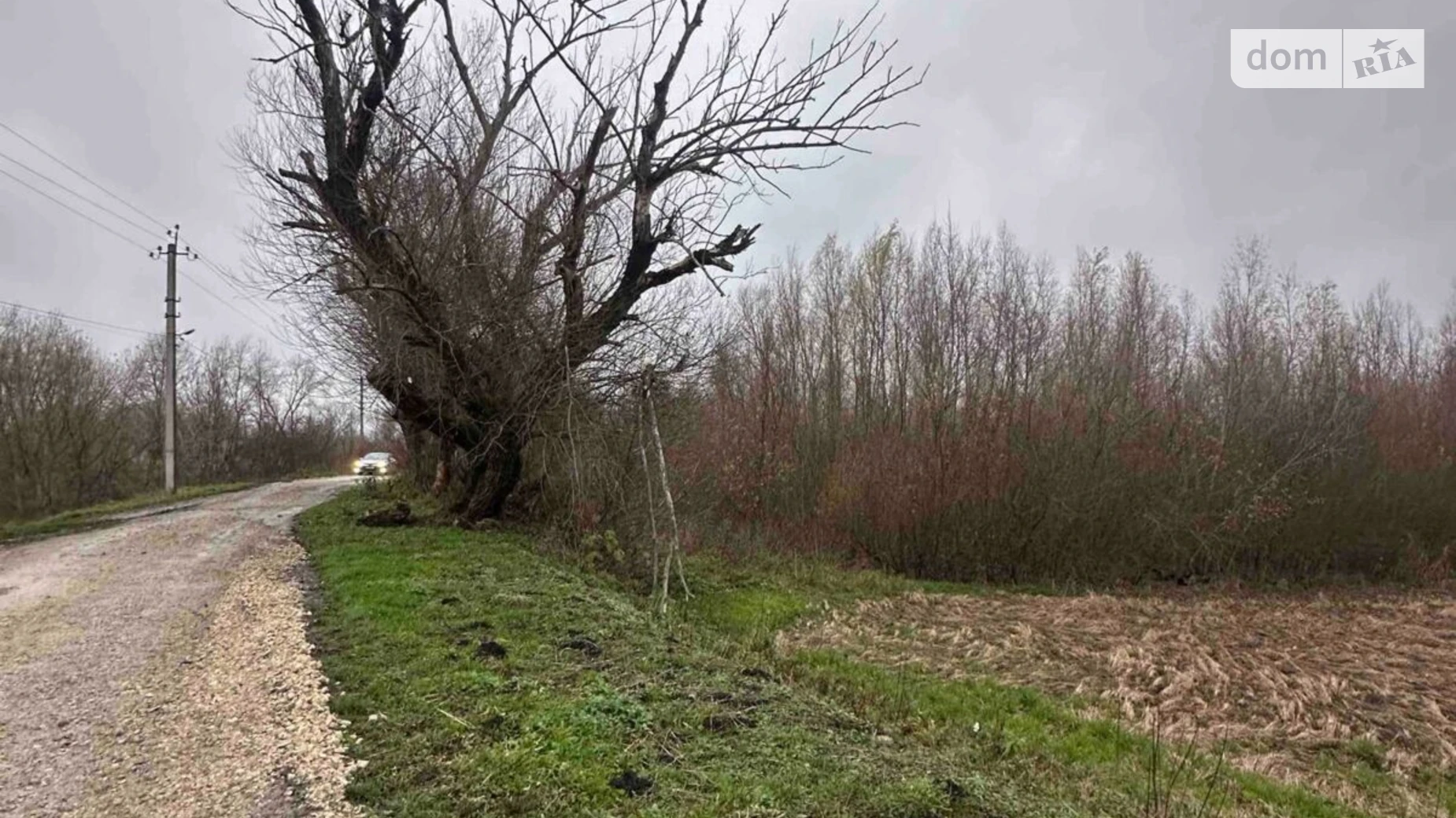 Сдается в аренду земельный участок 0.3 соток в Хмельницкой области, цена: 424 грн - фото 4