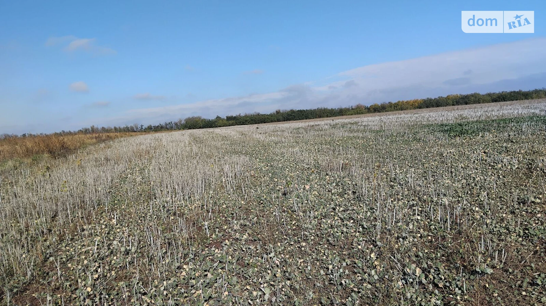 Сдается в аренду земельный участок 11.6789 соток в Хмельницкой области, цена: 40843 грн - фото 2