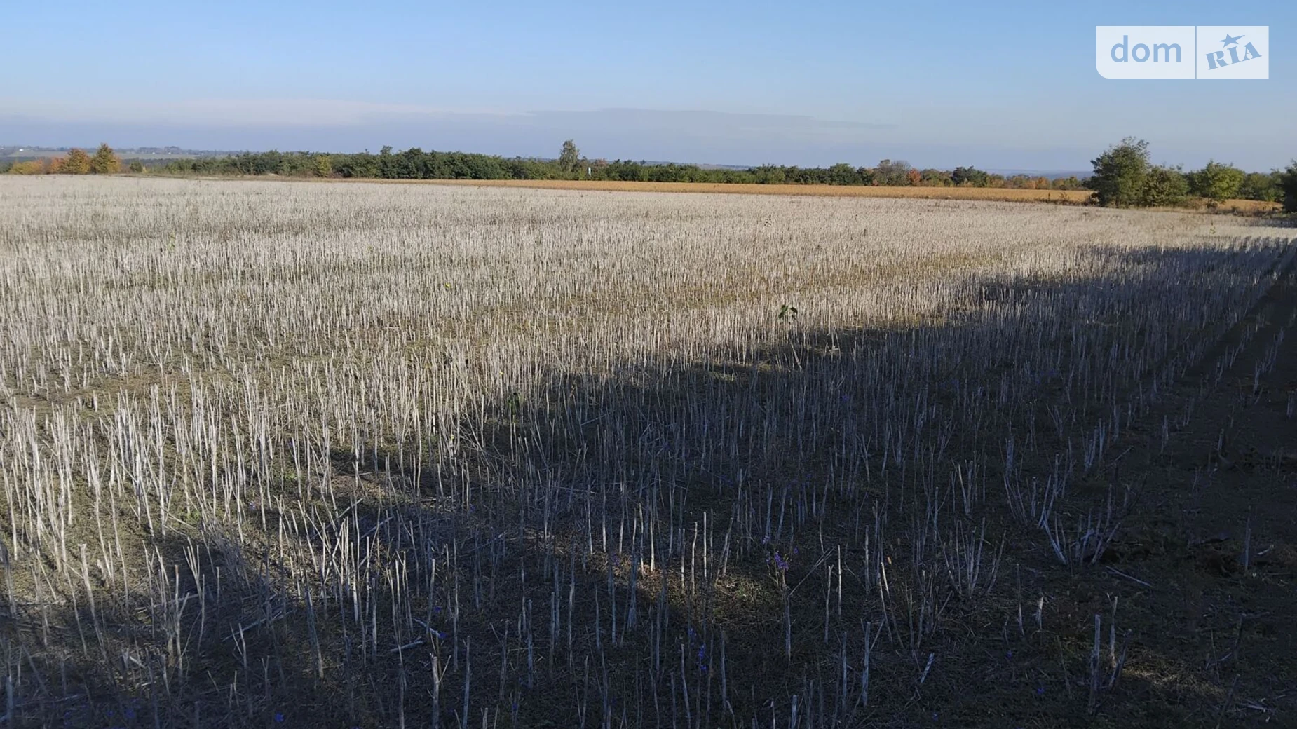 Сдается в аренду земельный участок 15.8396 соток в Хмельницкой области, цена: 81338 грн - фото 3