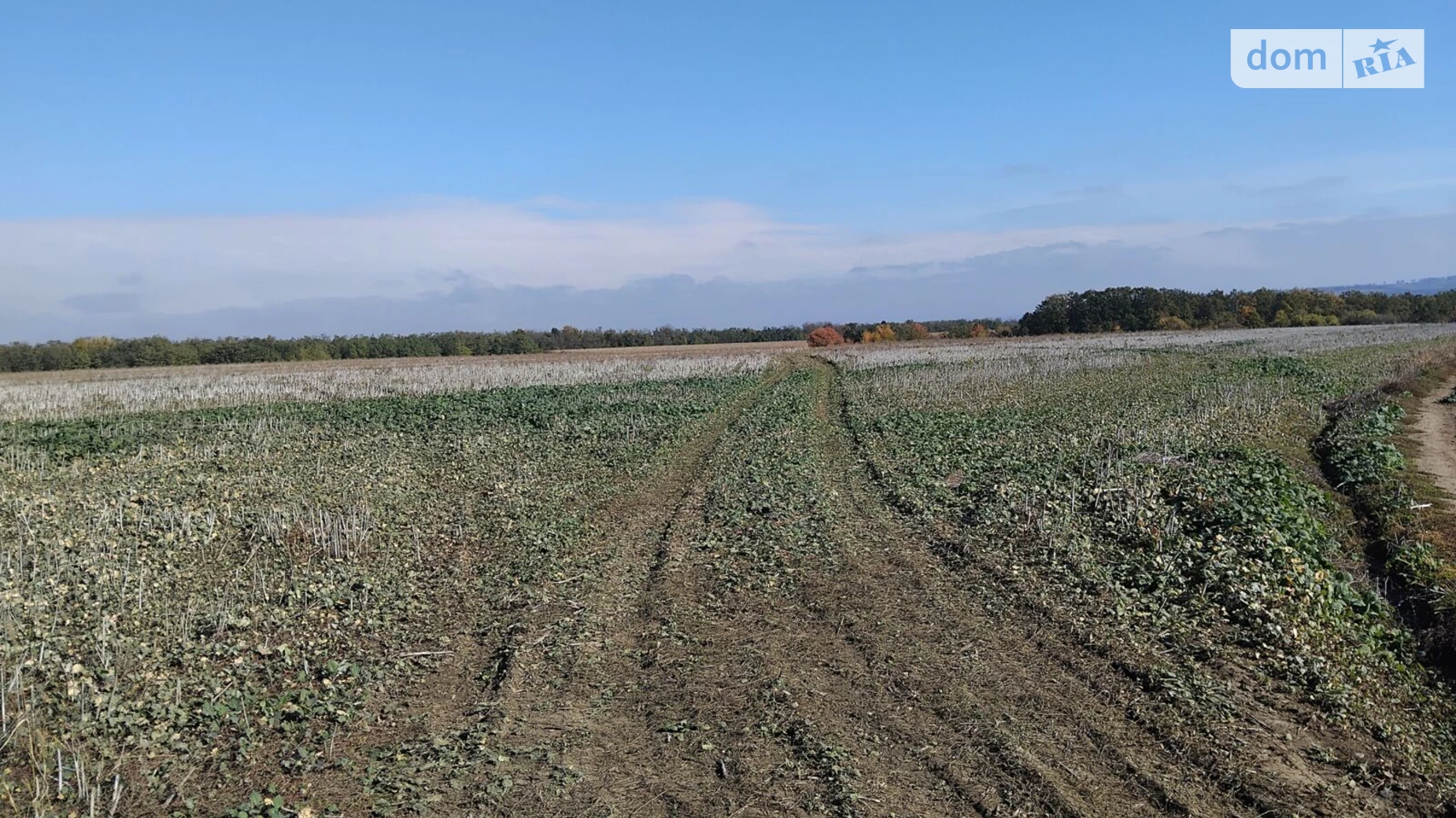 Сдается в аренду земельный участок 11.6789 соток в Хмельницкой области, цена: 40843 грн - фото 3