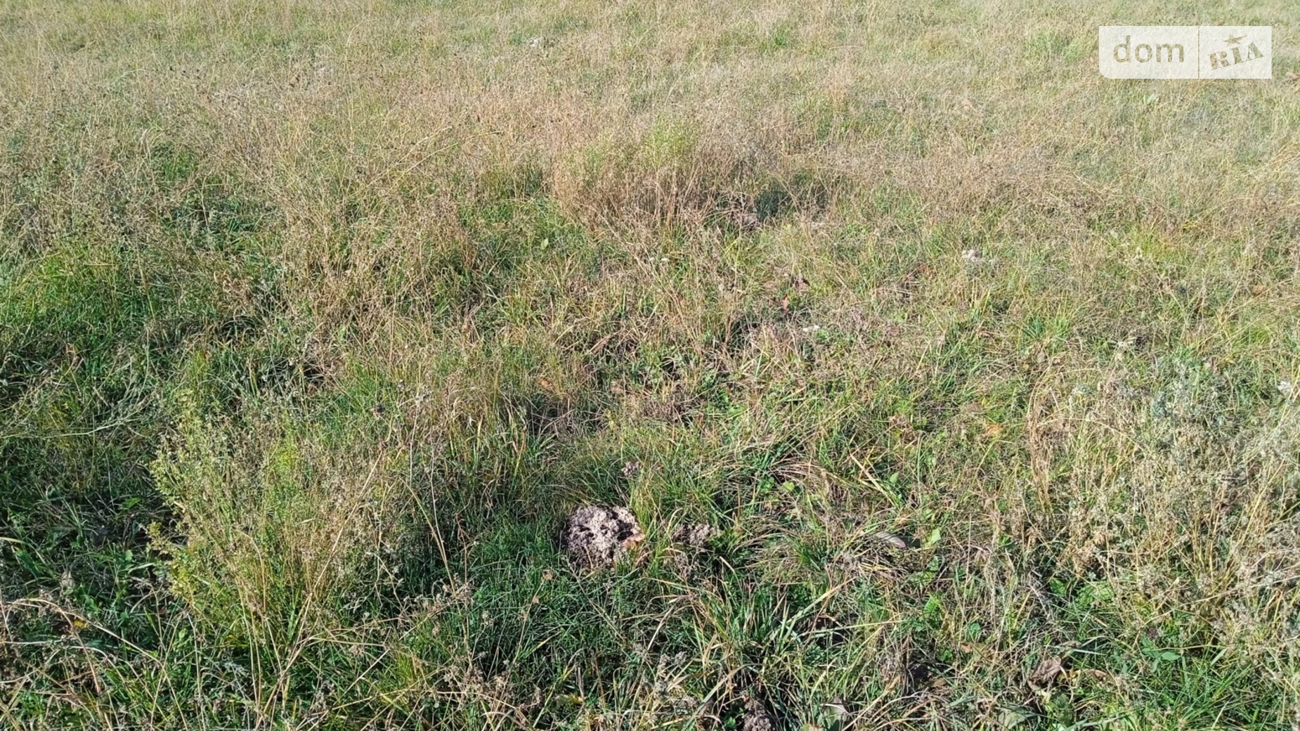 Продается земельный участок 10 соток в Винницкой области, цена: 18000 $ - фото 2