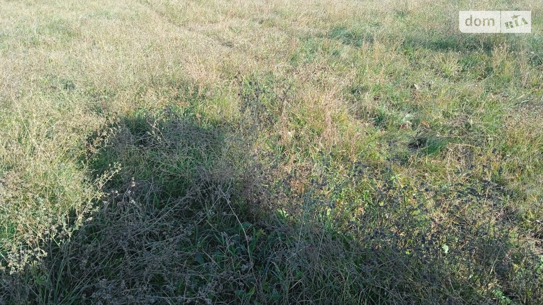 Продается земельный участок 10 соток в Винницкой области, цена: 18000 $ - фото 3