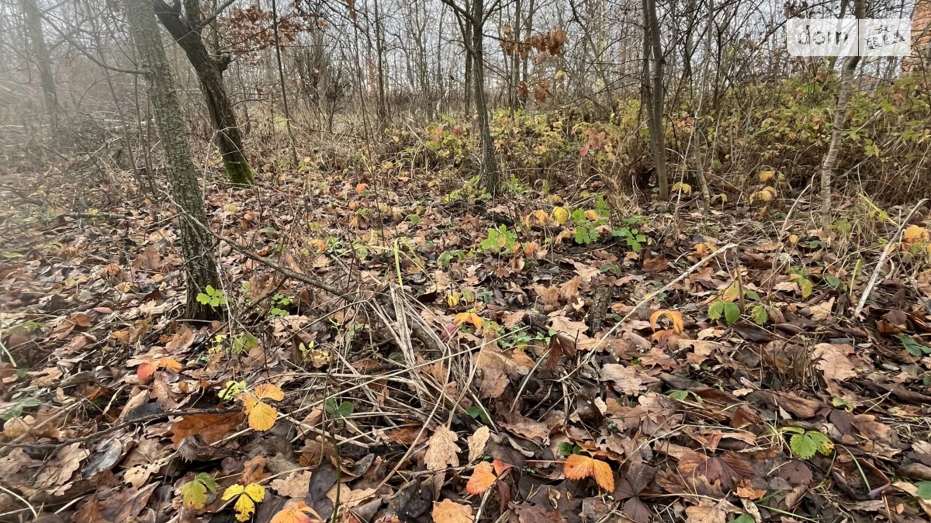 Продается земельный участок 10 соток в Винницкой области, цена: 5300 $ - фото 5