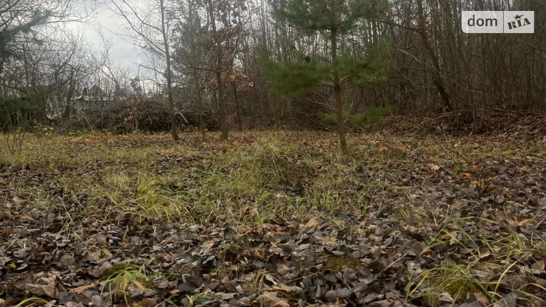Продается земельный участок 5 соток в Винницкой области, цена: 3300 $ - фото 2