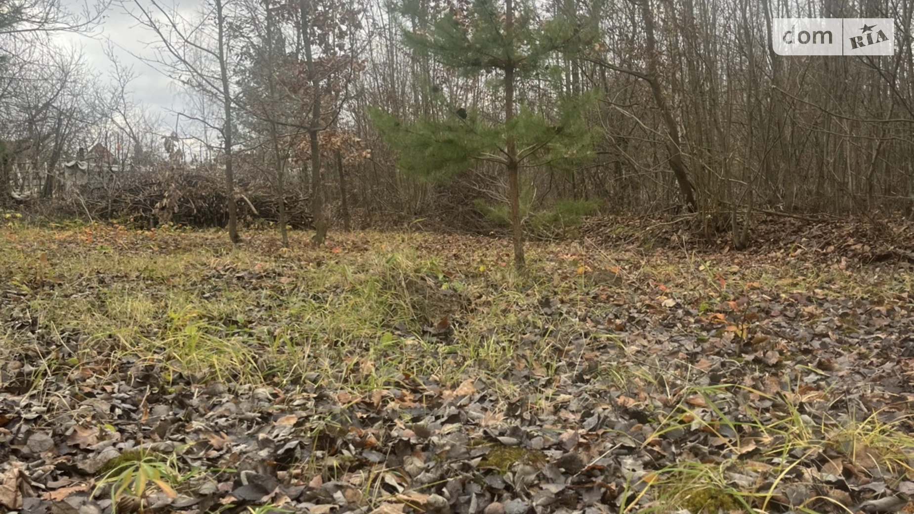 Продается земельный участок 5 соток в Винницкой области, цена: 3300 $ - фото 3