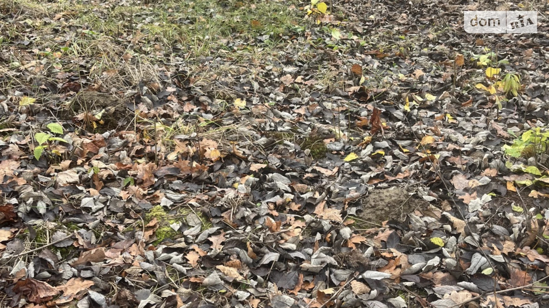 Продается земельный участок 5 соток в Винницкой области, цена: 3300 $ - фото 4