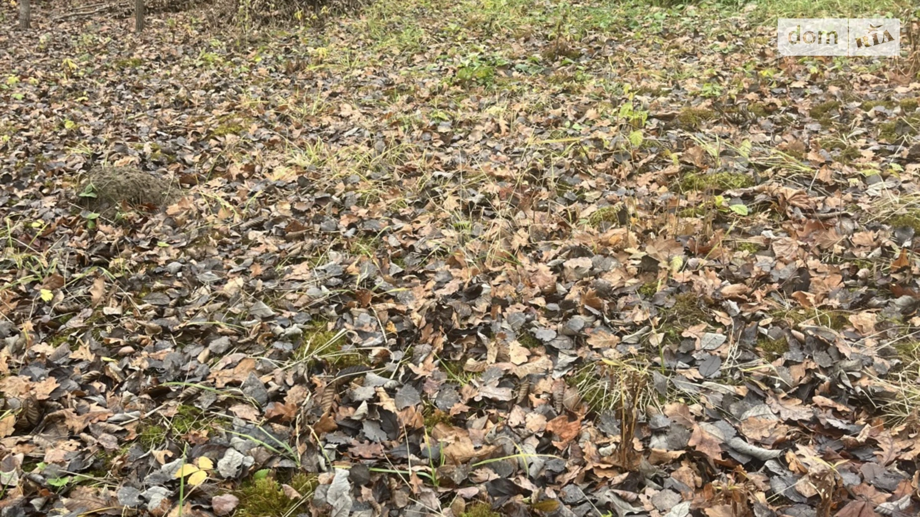 Продается земельный участок 5 соток в Винницкой области, цена: 3300 $ - фото 5