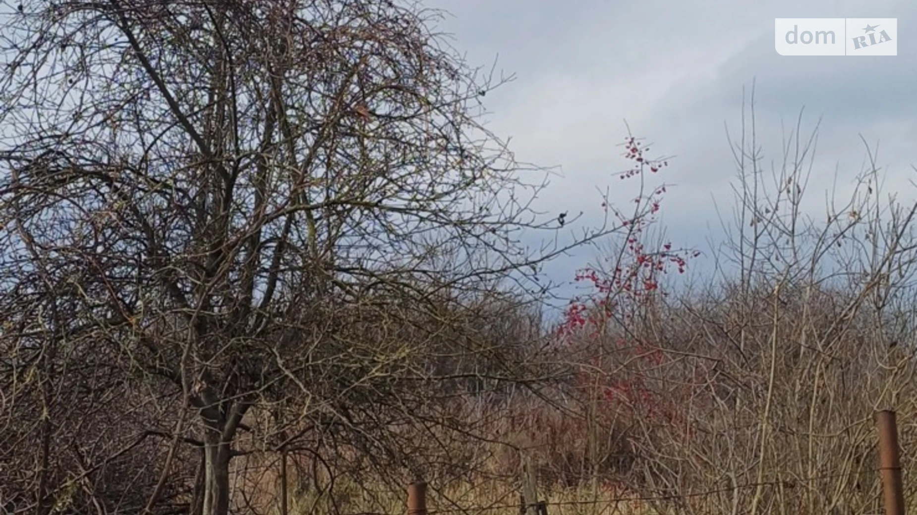 Продается земельный участок 12 соток в Винницкой области, цена: 25000 $ - фото 3
