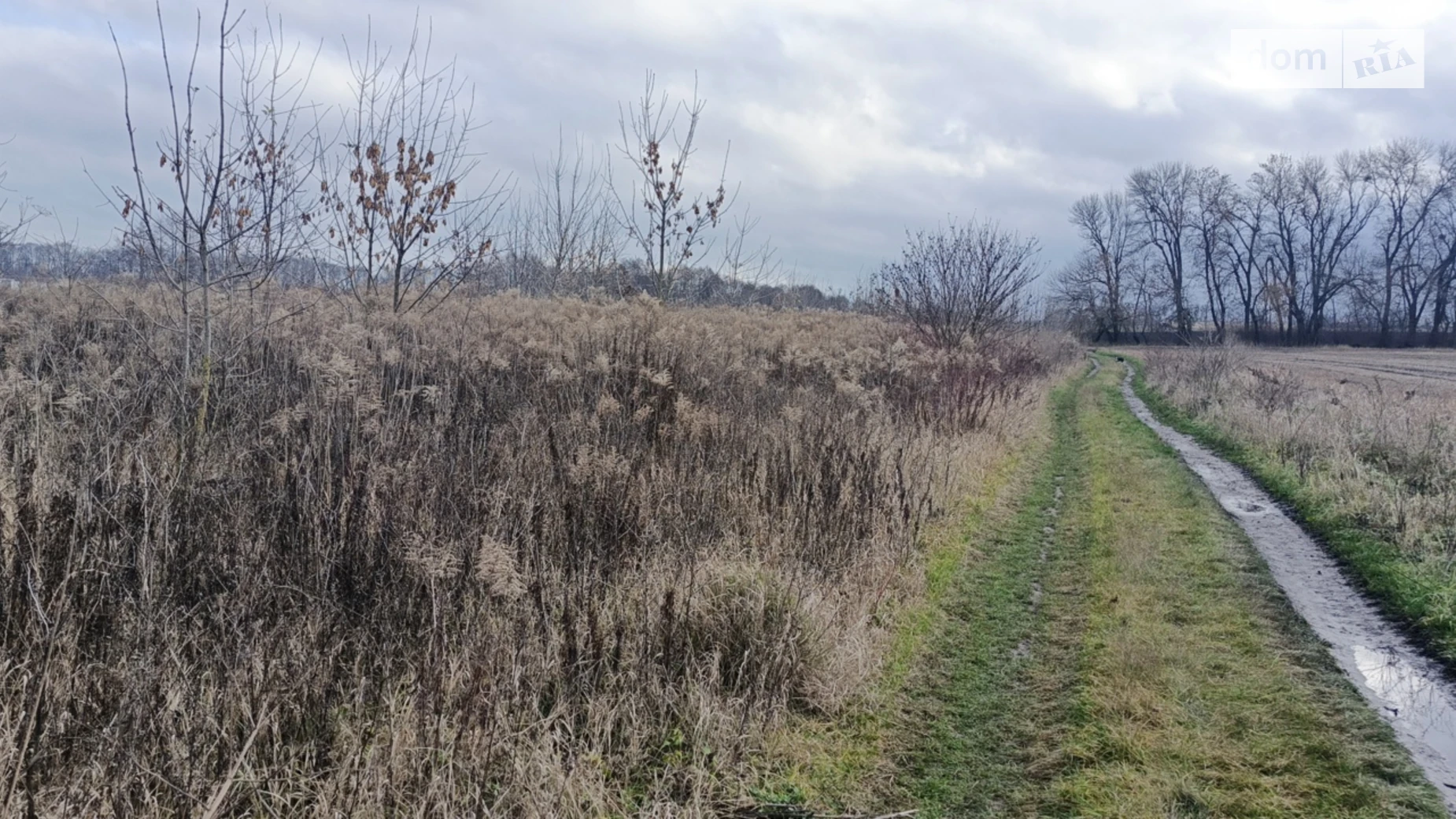 Продается земельный участок 3 соток в Винницкой области, цена: 12000 $ - фото 3