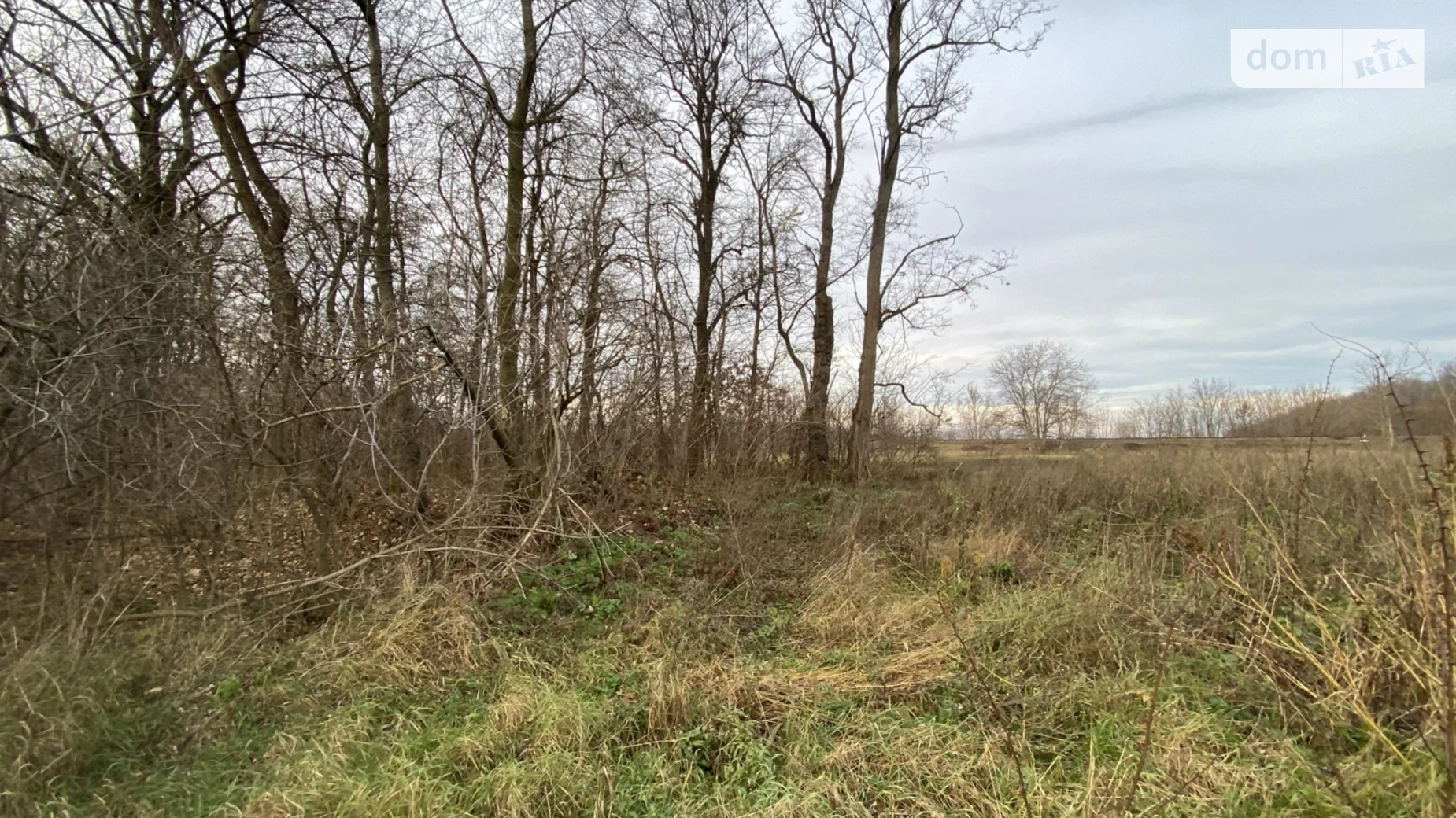 Сдается в аренду земельный участок 13.6 соток в Винницкой области, цена: 34000 грн - фото 5