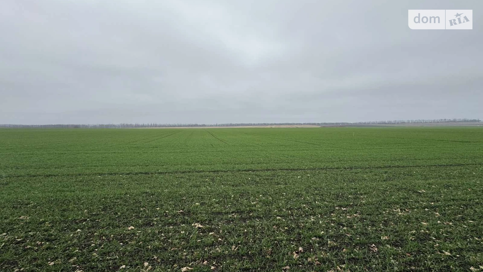 Продается земельный участок 5 соток в Винницкой области, цена: 15000 $ - фото 3