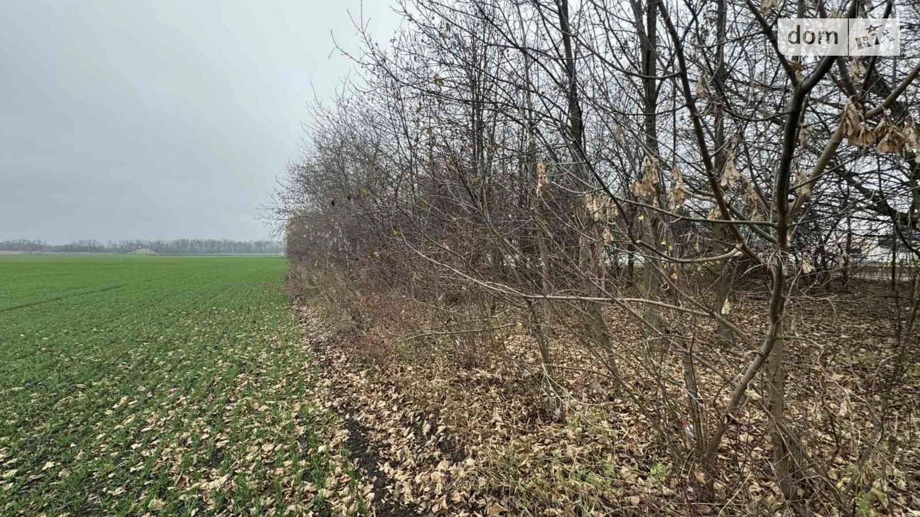 Продається земельна ділянка 5 соток у Вінницькій області, цена: 15000 $ - фото 2