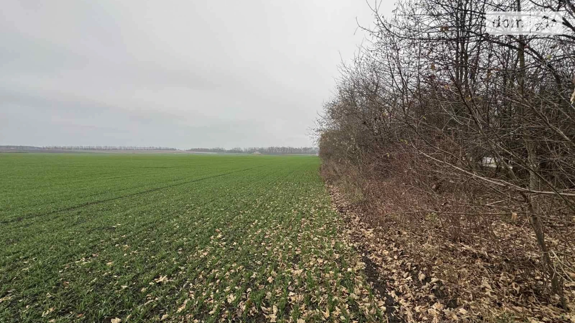 Продается земельный участок 5 соток в Винницкой области, цена: 15000 $ - фото 2