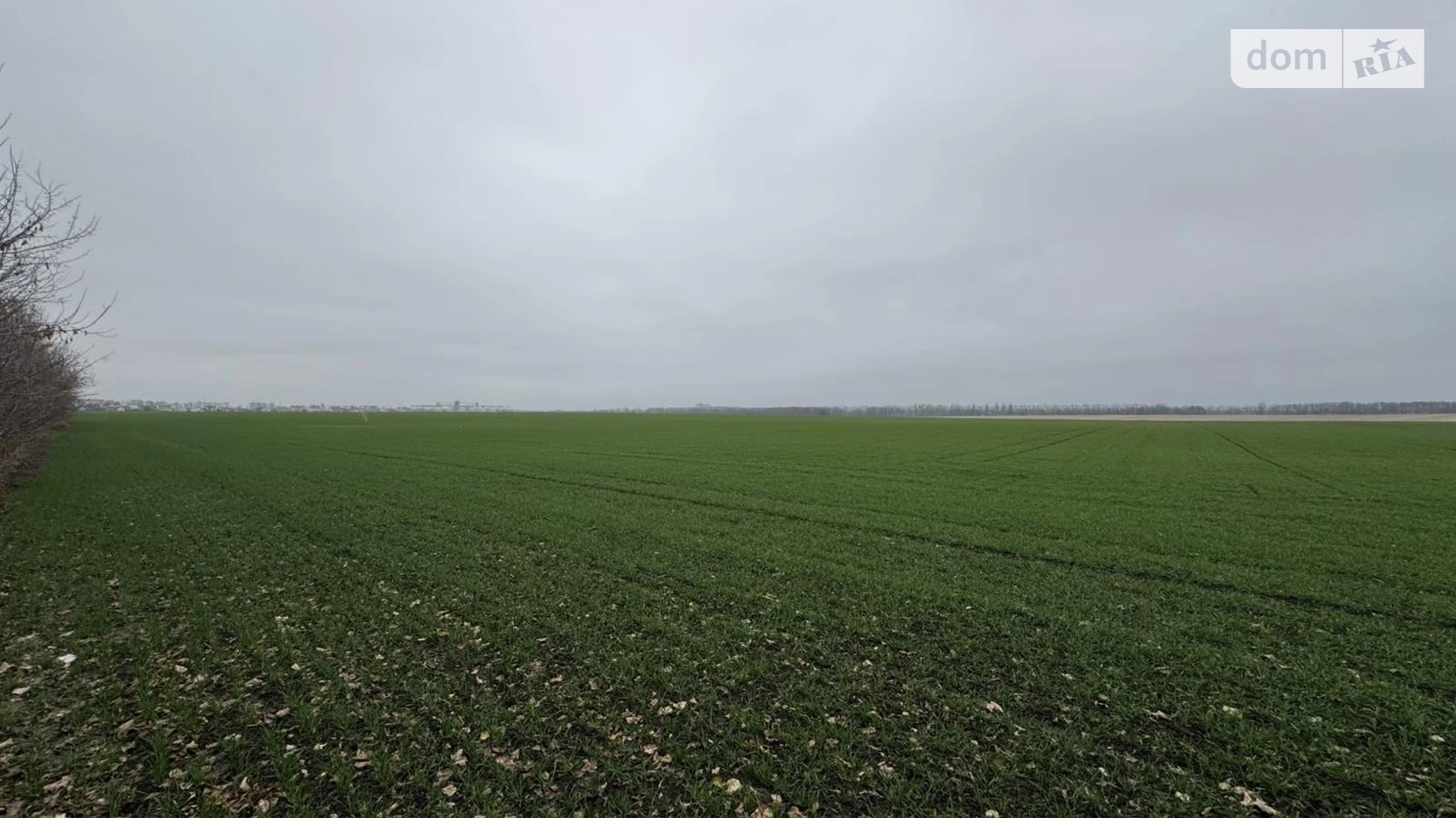 Продается земельный участок 5 соток в Винницкой области, цена: 15000 $ - фото 5