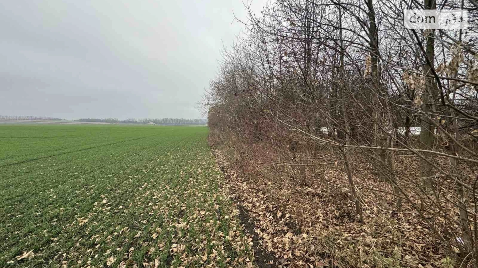 Продается земельный участок 5 соток в Винницкой области, цена: 15000 $ - фото 4