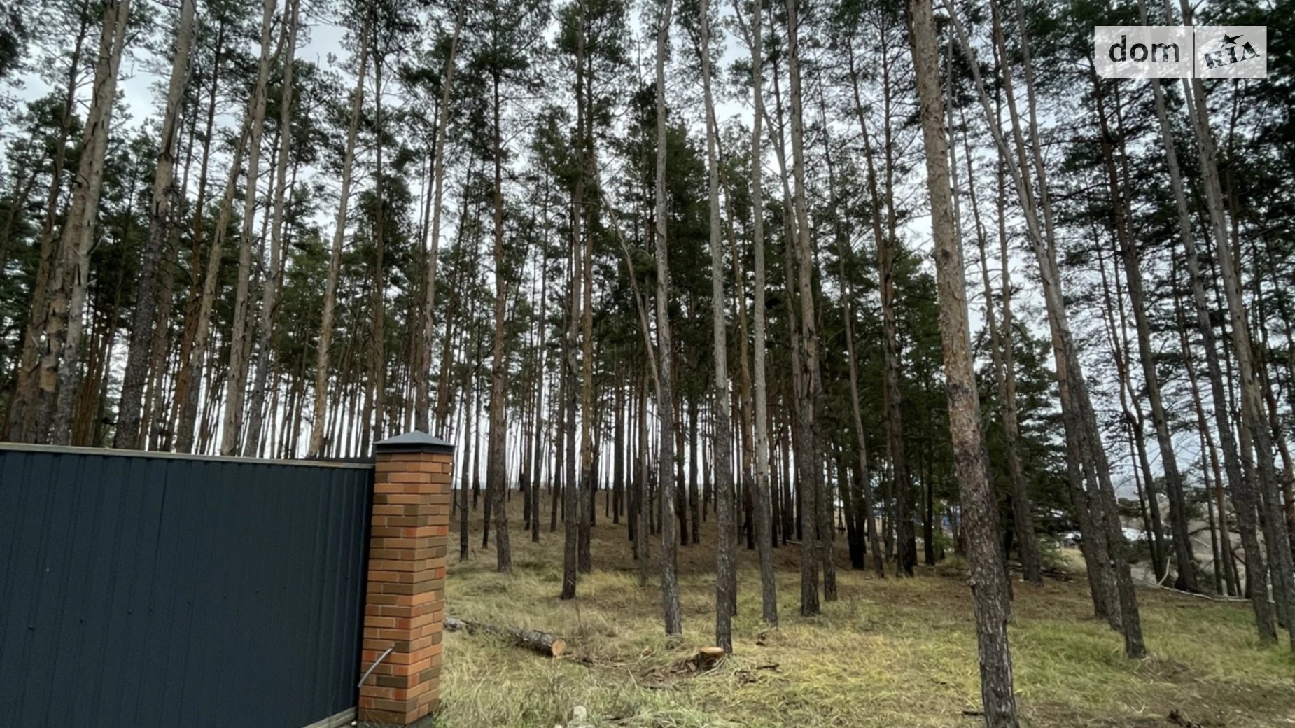 ул. Вербицкого(Интернациональная) Гостомель, цена: 95000 $ - фото 5