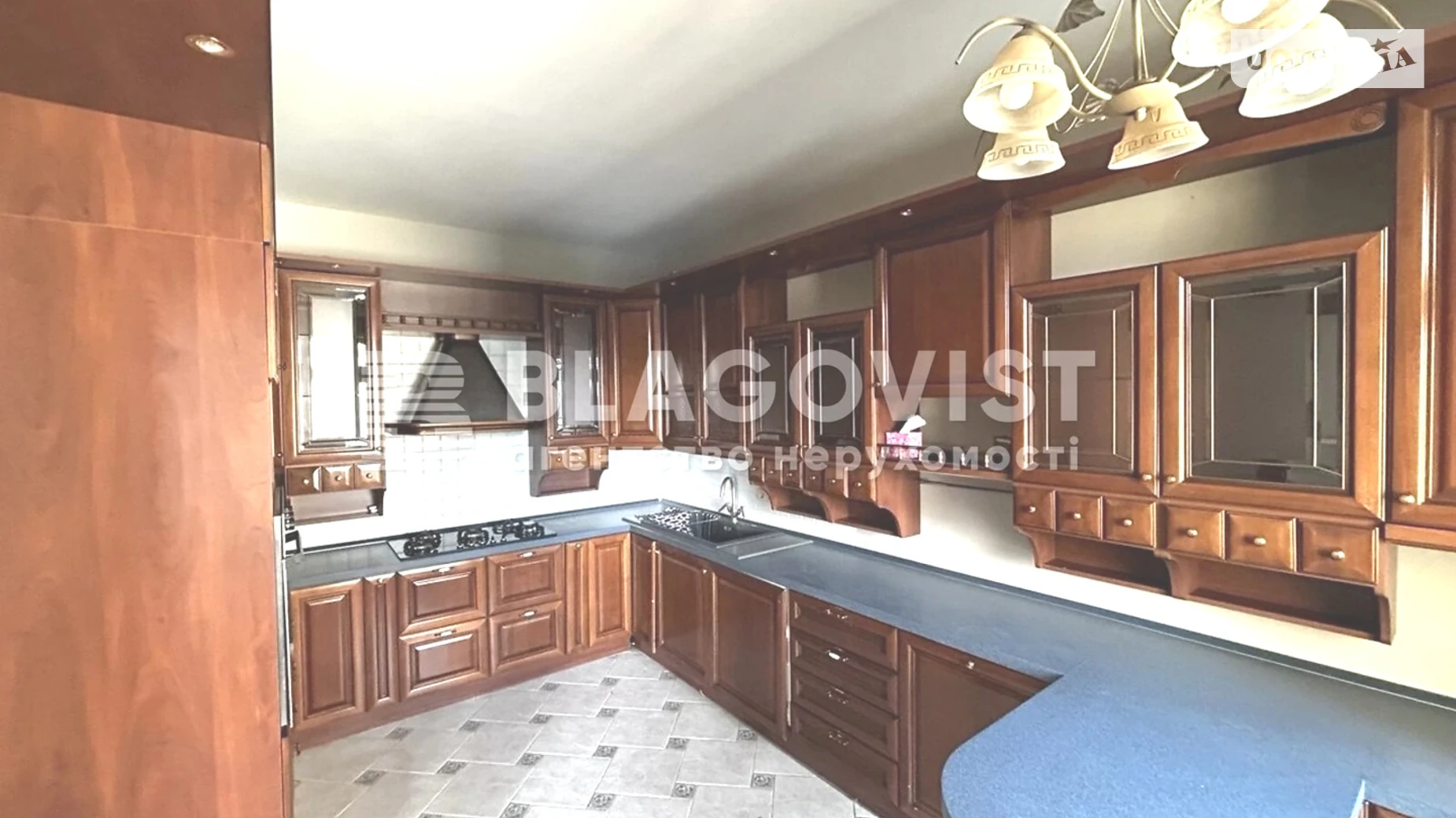 Продается 6-комнатная квартира 212 кв. м в Киеве, ул. Пылыпа Орлика, 10 - фото 2