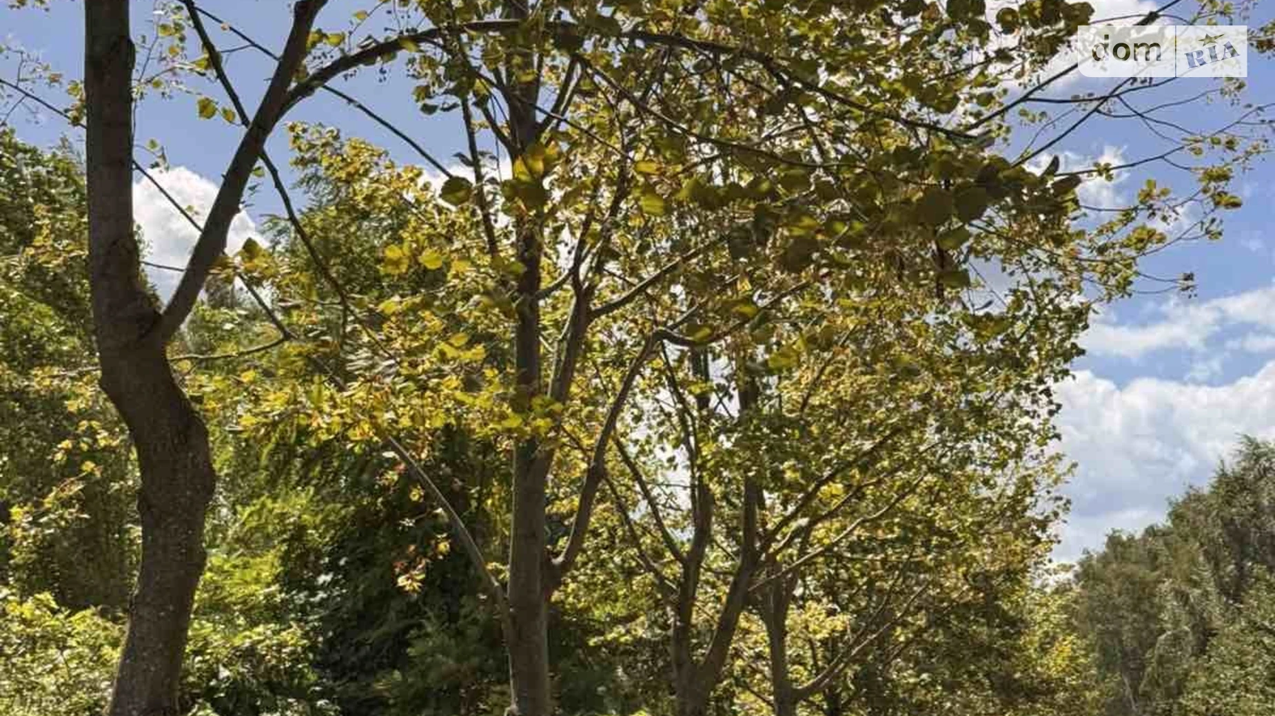 Продається земельна ділянка 25.16 соток у Київській області, цена: 375000 $ - фото 3
