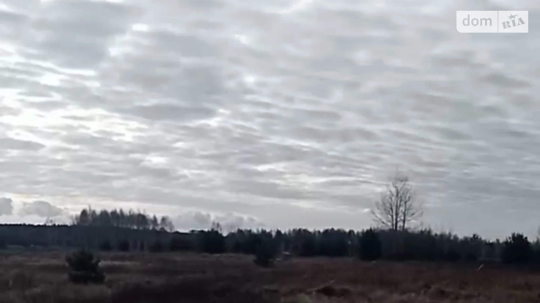 Продается земельный участок 20 соток в Киевской области, цена: 5500 $ - фото 2