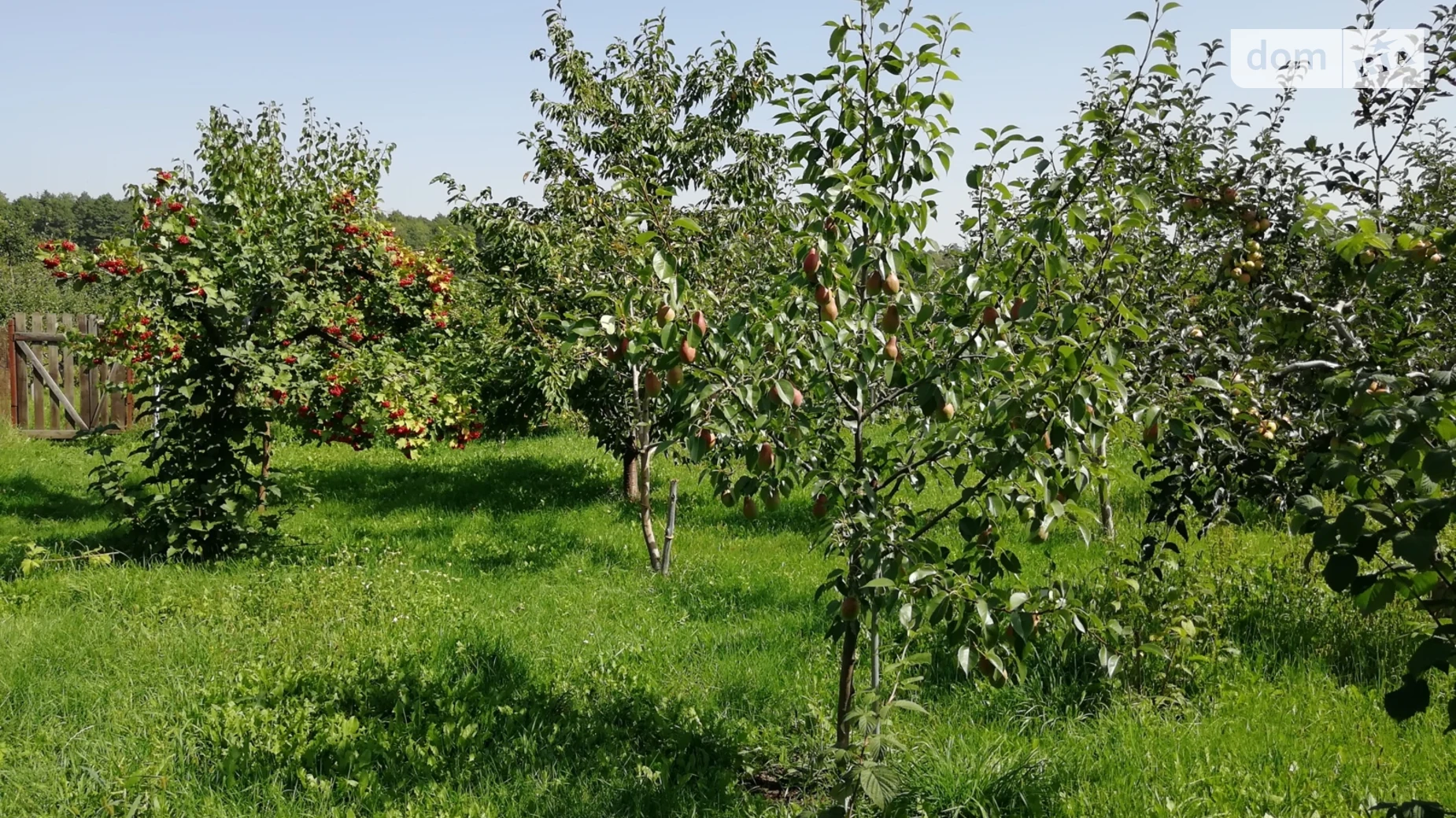 Продається одноповерховий будинок 78 кв. м з ділянкою, цена: 205000 $ - фото 4