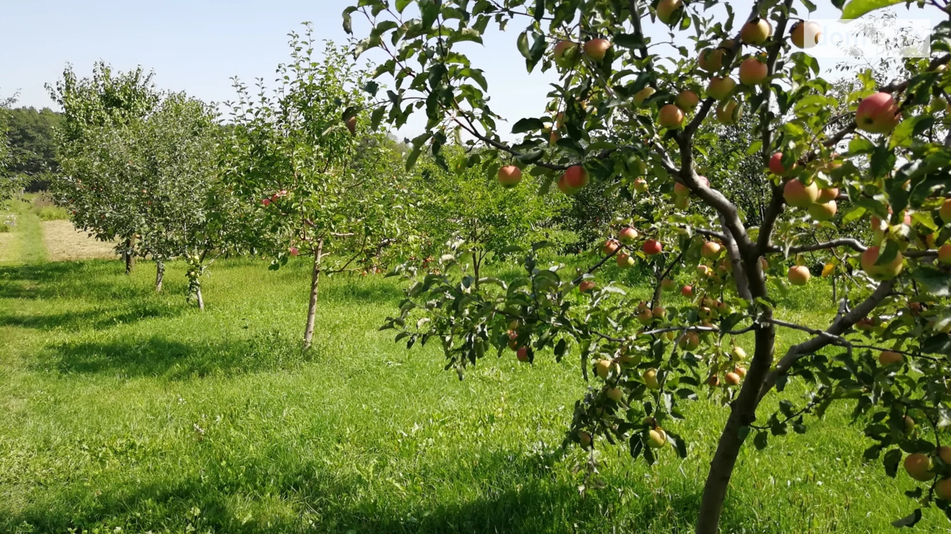 Продається одноповерховий будинок 78 кв. м з ділянкою, цена: 205000 $ - фото 5