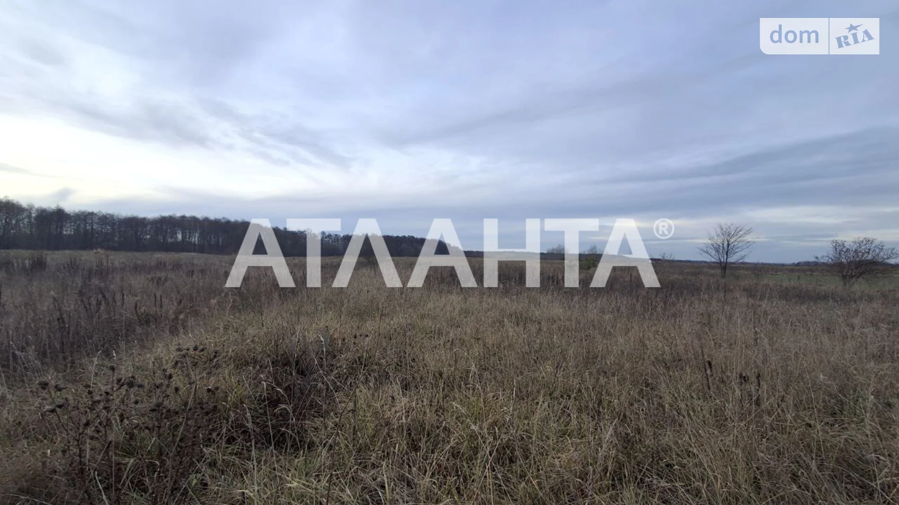 Продается земельный участок 22.08 соток в Винницкой области, цена: 17000 $ - фото 4