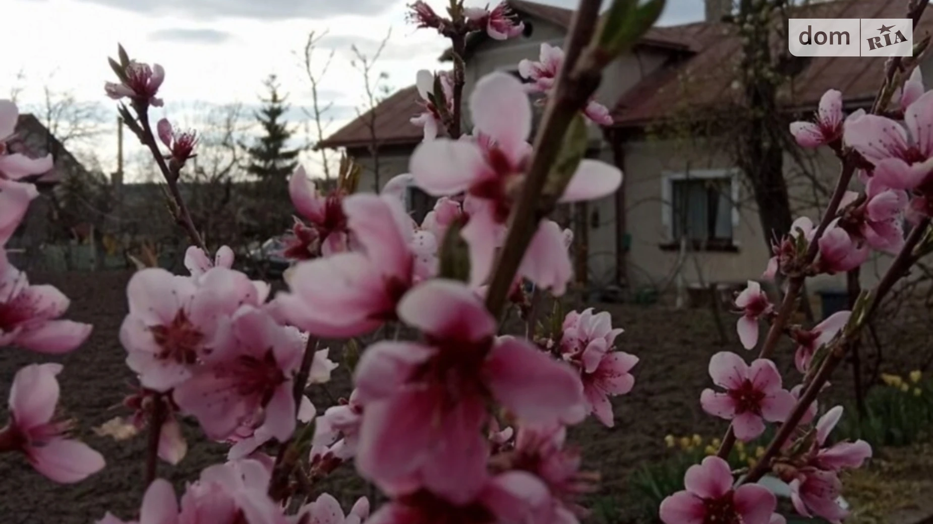 Продается одноэтажный дом 127 кв. м с участком, цена: 180000 $ - фото 3