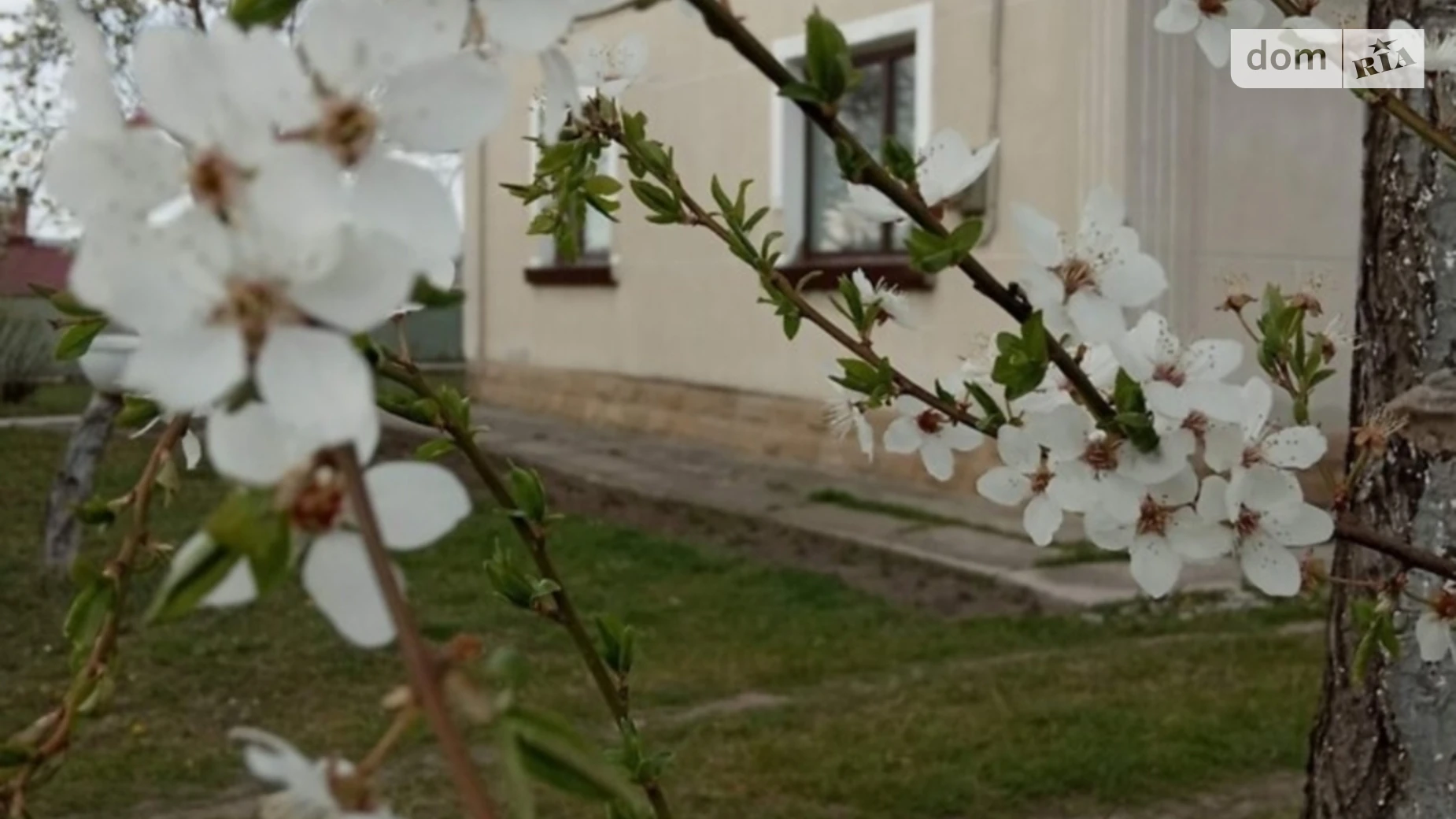 Продается одноэтажный дом 127 кв. м с участком, цена: 180000 $ - фото 4