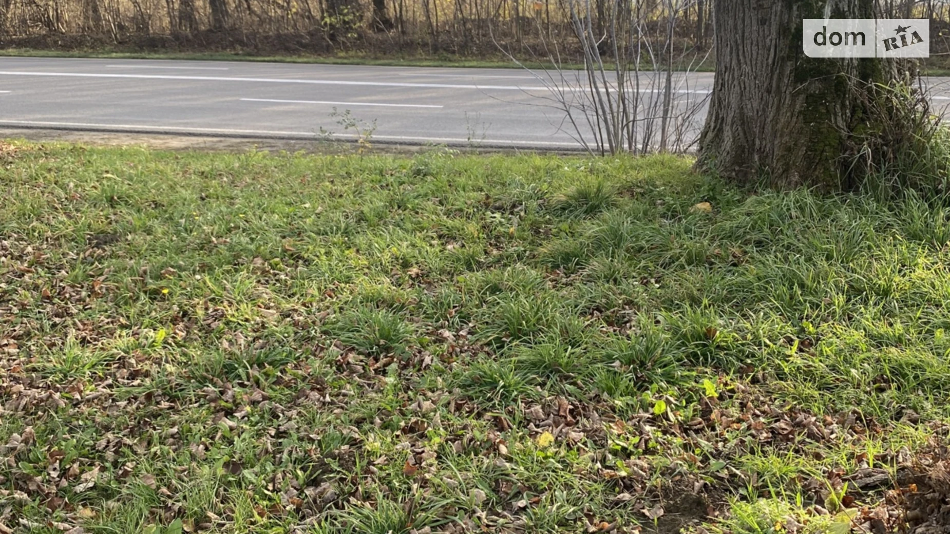 Продается земельный участок 30 соток в Винницкой области, цена: 75000 $ - фото 2